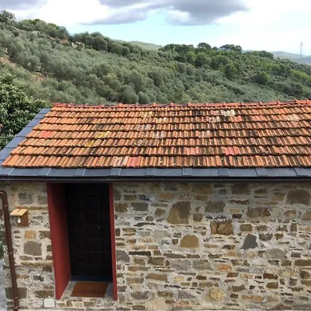 Il Sogno Del Vagabondo - A Vagabond's Dream *